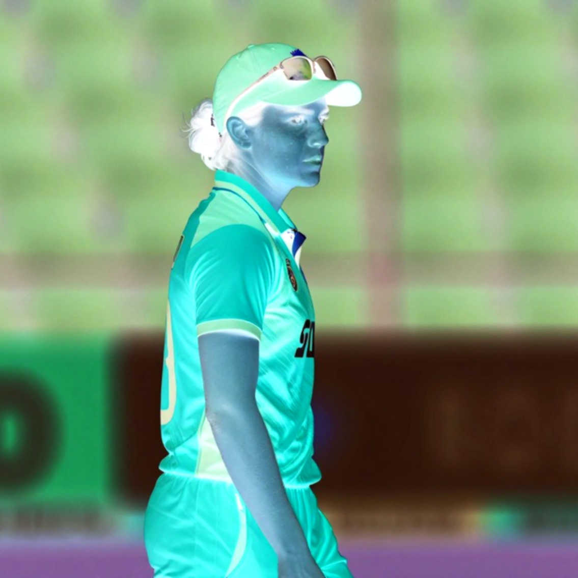 The Fan Token Red Light: Who Will Audit Cricket's Blockchain Ledger?
