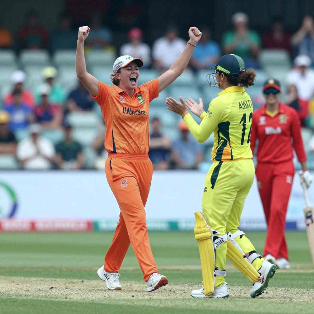 Runs Stored On-Chain: How Blockchain Is Entering Asian Cricket, and Where It Stumbles